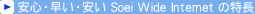 SoeiWideInternet̓