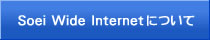 SoeiWideInternetɂ