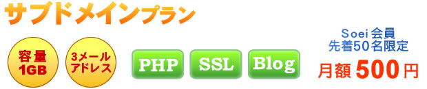 接続オプション サブドメインプラン